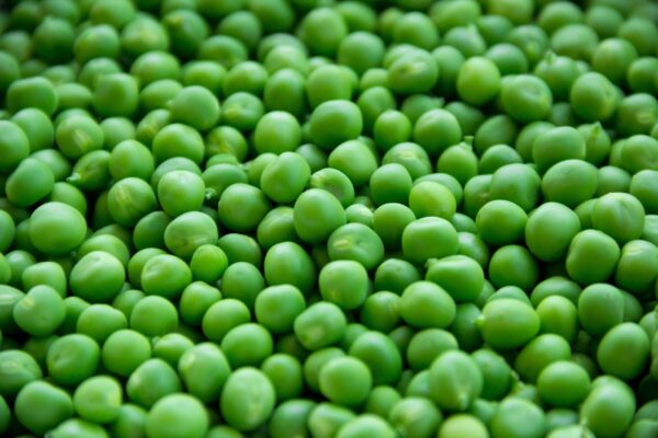 Green Peas (Fresh / Dried / Frozen)