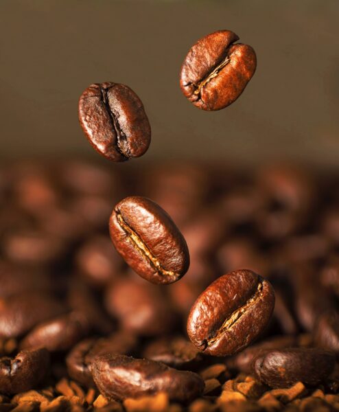 Robusta Coffee Bean