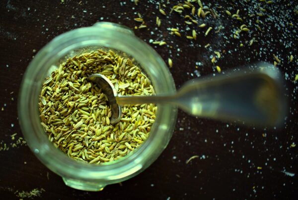 Fennel Seeds